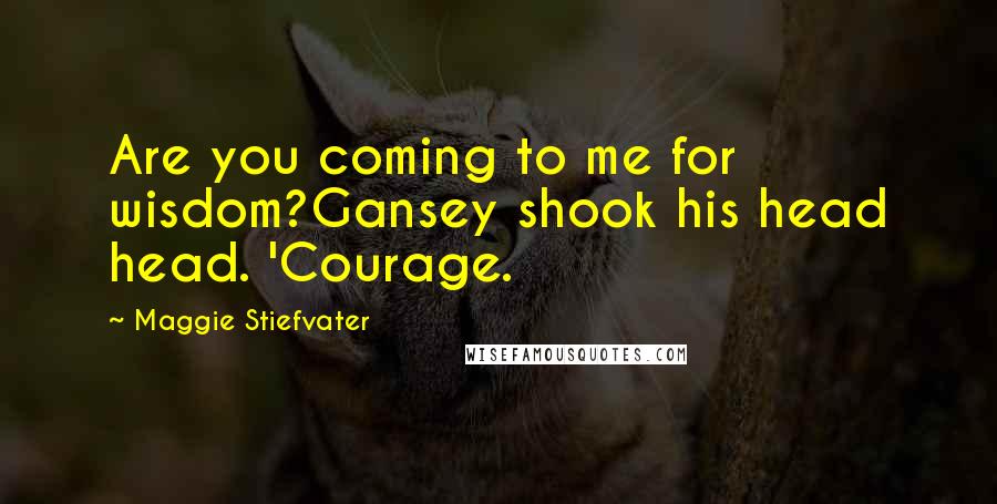 Maggie Stiefvater Quotes: Are you coming to me for wisdom?Gansey shook his head head. 'Courage.