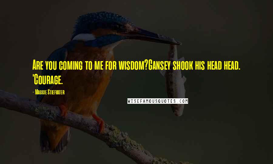 Maggie Stiefvater Quotes: Are you coming to me for wisdom?Gansey shook his head head. 'Courage.