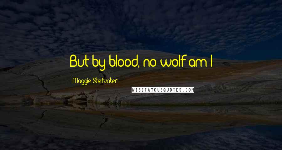 Maggie Stiefvater Quotes: But by blood, no wolf am I