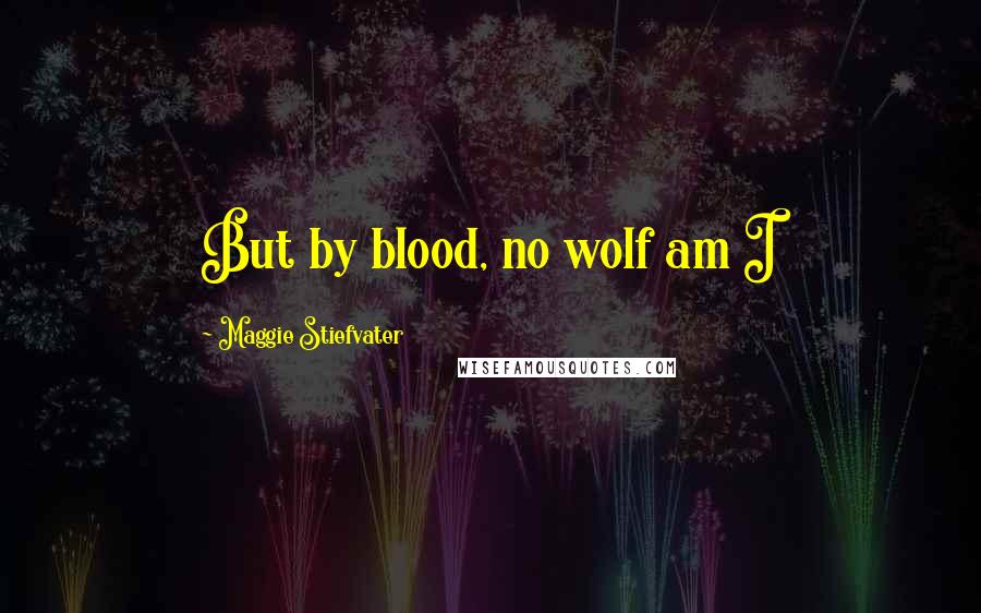 Maggie Stiefvater Quotes: But by blood, no wolf am I