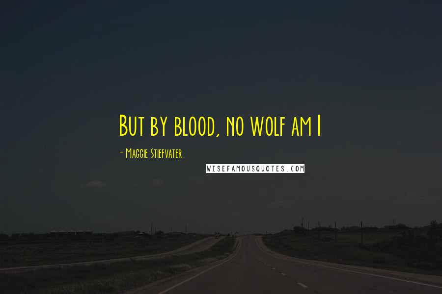 Maggie Stiefvater Quotes: But by blood, no wolf am I