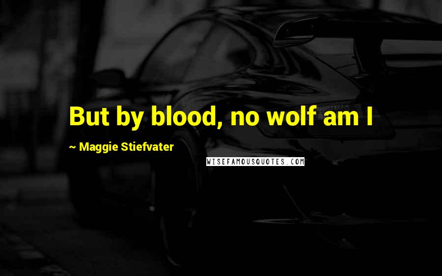 Maggie Stiefvater Quotes: But by blood, no wolf am I