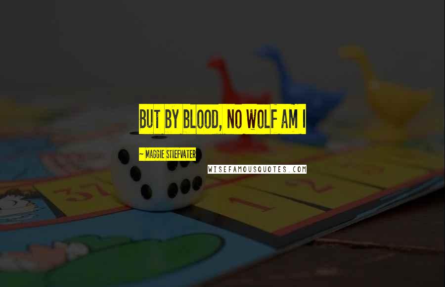 Maggie Stiefvater Quotes: But by blood, no wolf am I