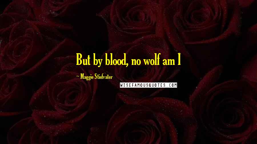 Maggie Stiefvater Quotes: But by blood, no wolf am I