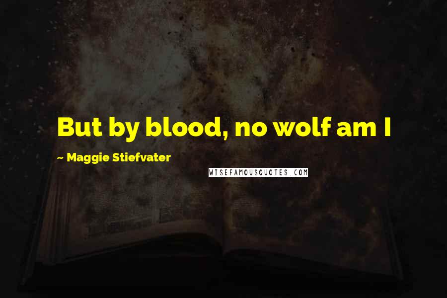 Maggie Stiefvater Quotes: But by blood, no wolf am I