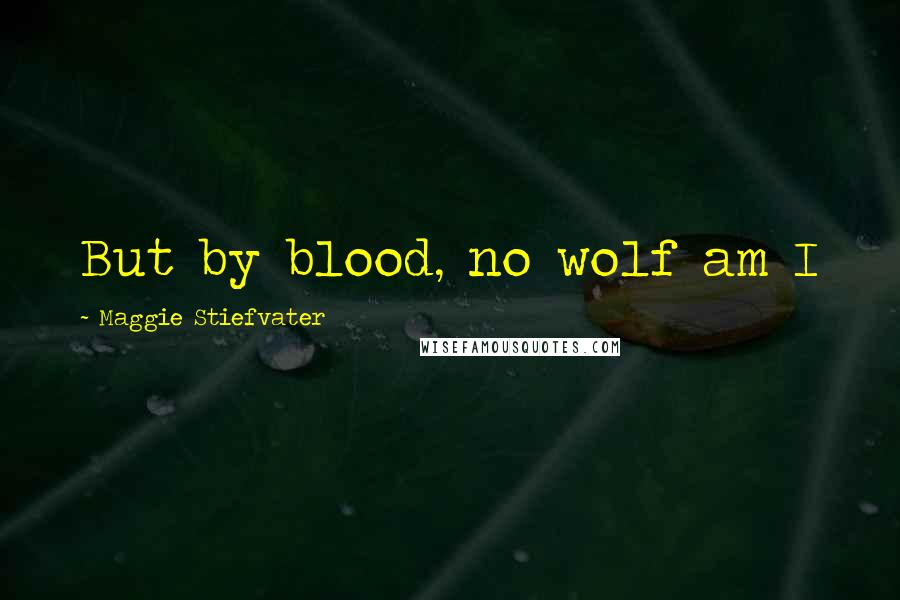 Maggie Stiefvater Quotes: But by blood, no wolf am I