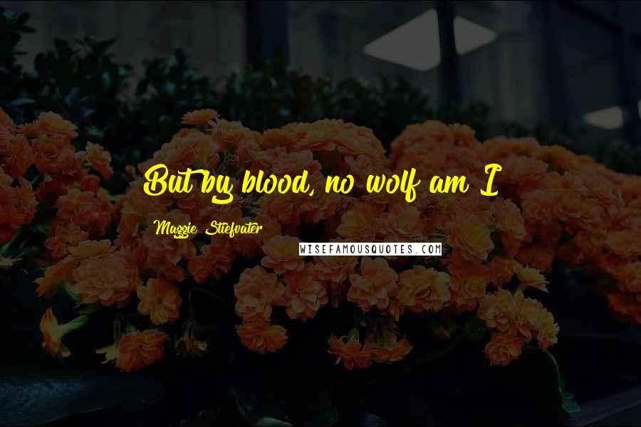 Maggie Stiefvater Quotes: But by blood, no wolf am I