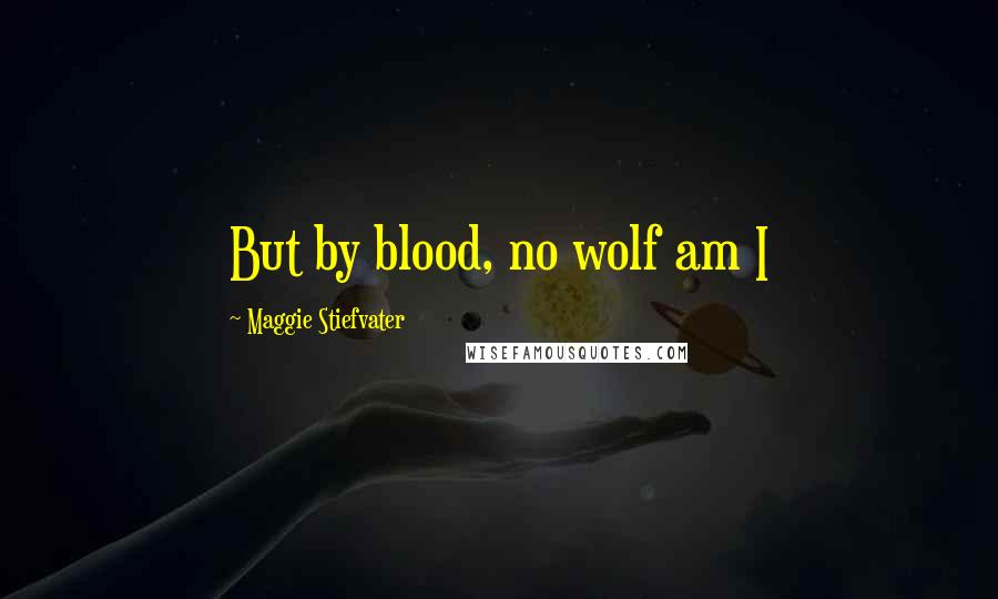 Maggie Stiefvater Quotes: But by blood, no wolf am I