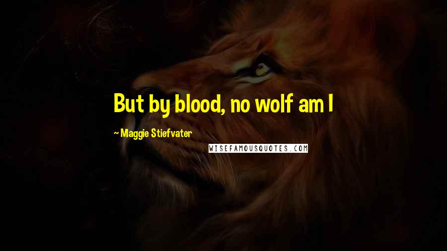 Maggie Stiefvater Quotes: But by blood, no wolf am I