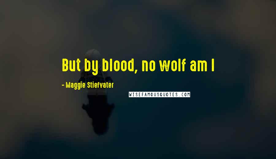 Maggie Stiefvater Quotes: But by blood, no wolf am I