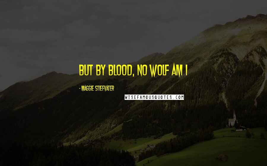 Maggie Stiefvater Quotes: But by blood, no wolf am I
