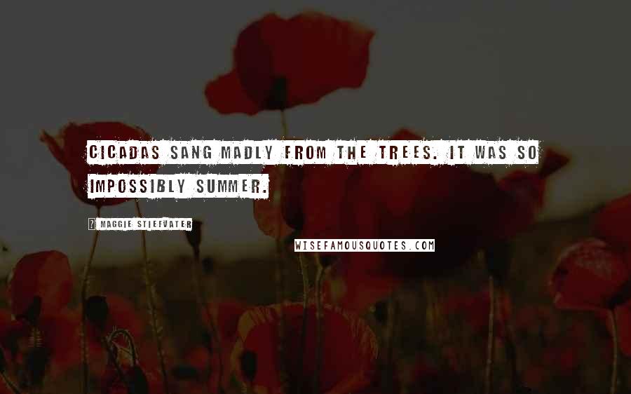 Maggie Stiefvater Quotes: Cicadas sang madly from the trees. It was so impossibly summer.