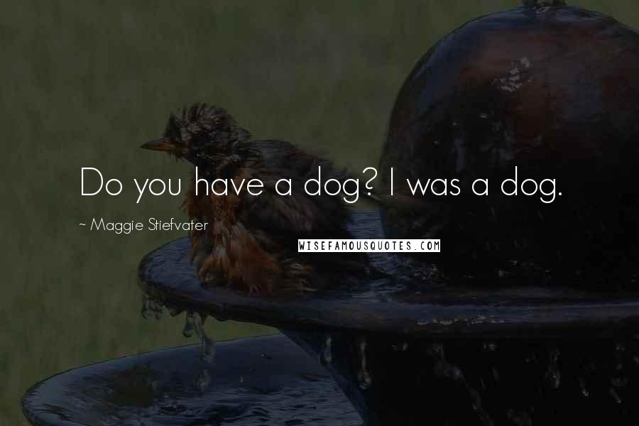 Maggie Stiefvater Quotes: Do you have a dog? I was a dog.