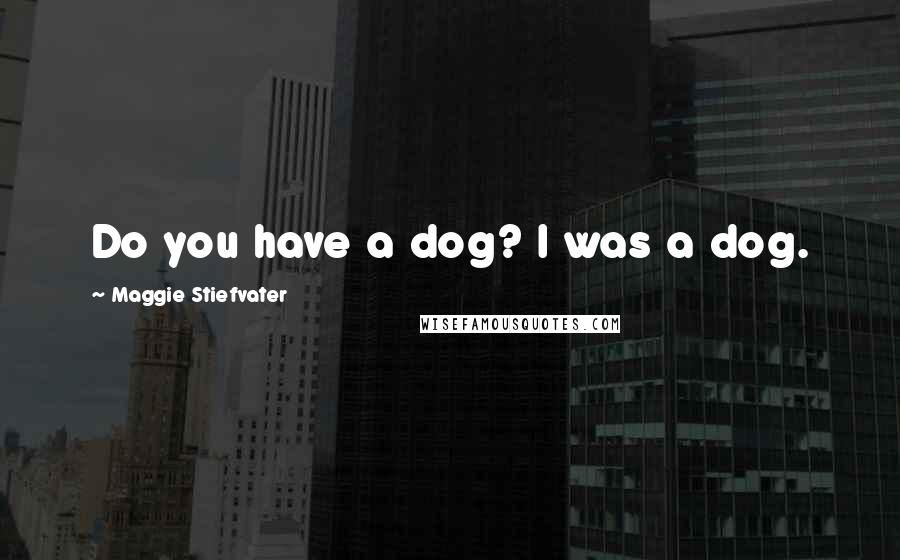 Maggie Stiefvater Quotes: Do you have a dog? I was a dog.