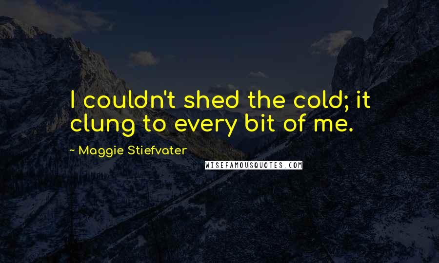 Maggie Stiefvater Quotes: I couldn't shed the cold; it clung to every bit of me.