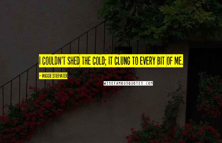 Maggie Stiefvater Quotes: I couldn't shed the cold; it clung to every bit of me.
