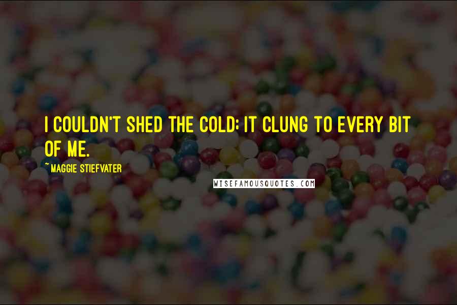 Maggie Stiefvater Quotes: I couldn't shed the cold; it clung to every bit of me.