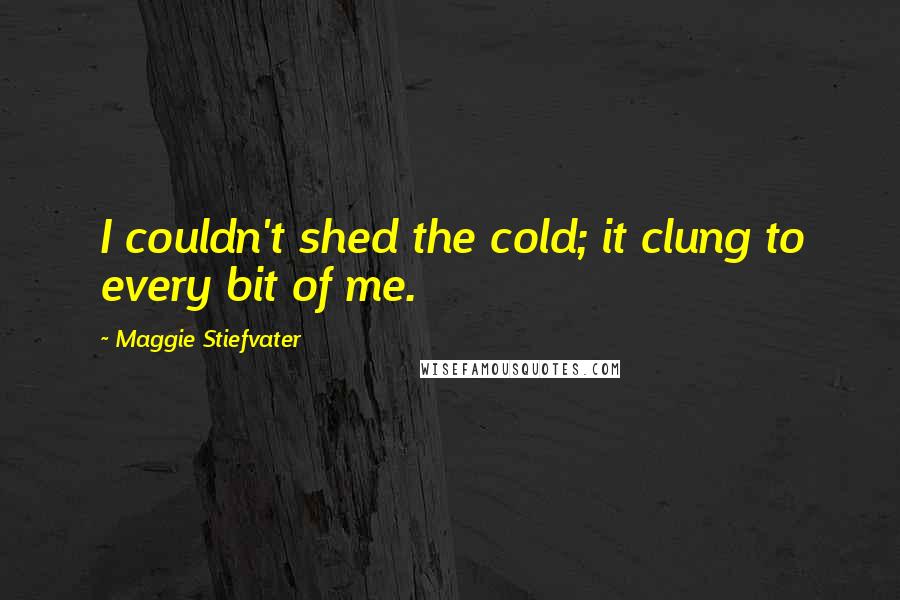 Maggie Stiefvater Quotes: I couldn't shed the cold; it clung to every bit of me.