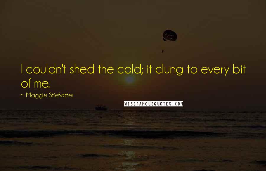 Maggie Stiefvater Quotes: I couldn't shed the cold; it clung to every bit of me.