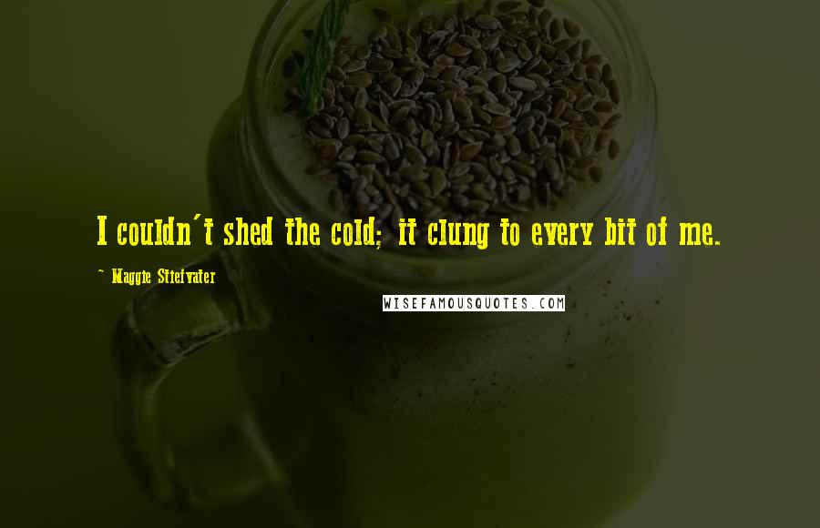 Maggie Stiefvater Quotes: I couldn't shed the cold; it clung to every bit of me.