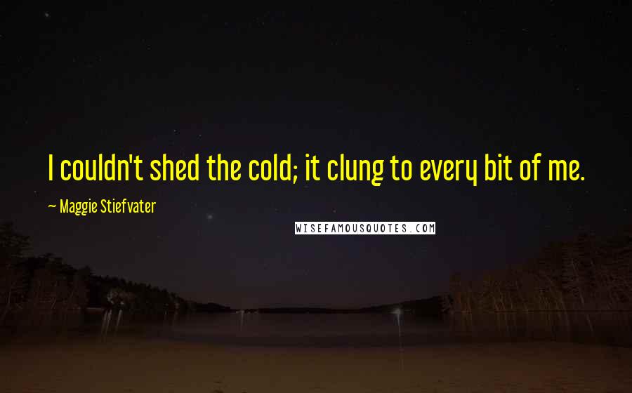 Maggie Stiefvater Quotes: I couldn't shed the cold; it clung to every bit of me.