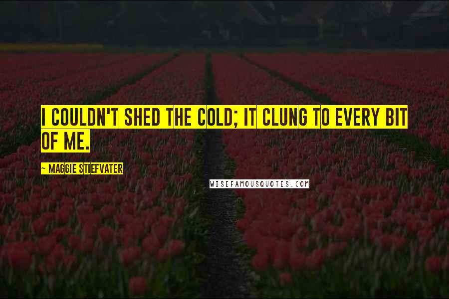 Maggie Stiefvater Quotes: I couldn't shed the cold; it clung to every bit of me.