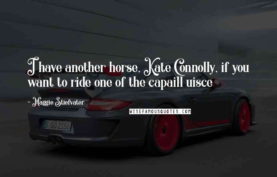 Maggie Stiefvater Quotes: I have another horse, Kate Connolly, if you want to ride one of the capaill uisce