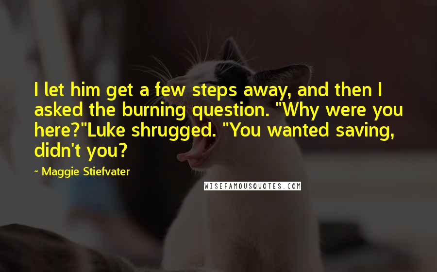 Maggie Stiefvater Quotes: I let him get a few steps away, and then I asked the burning question. "Why were you here?"Luke shrugged. "You wanted saving, didn't you?