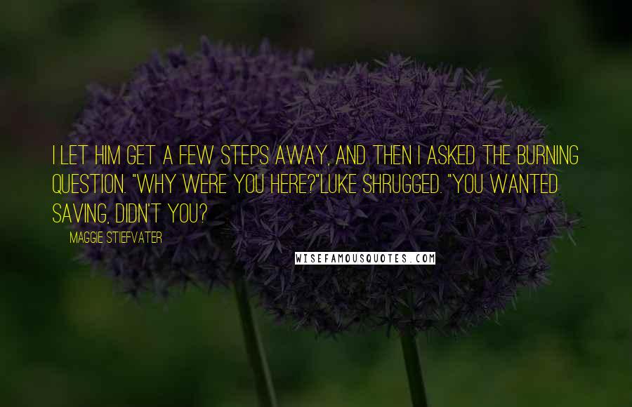 Maggie Stiefvater Quotes: I let him get a few steps away, and then I asked the burning question. "Why were you here?"Luke shrugged. "You wanted saving, didn't you?