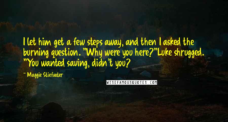 Maggie Stiefvater Quotes: I let him get a few steps away, and then I asked the burning question. "Why were you here?"Luke shrugged. "You wanted saving, didn't you?