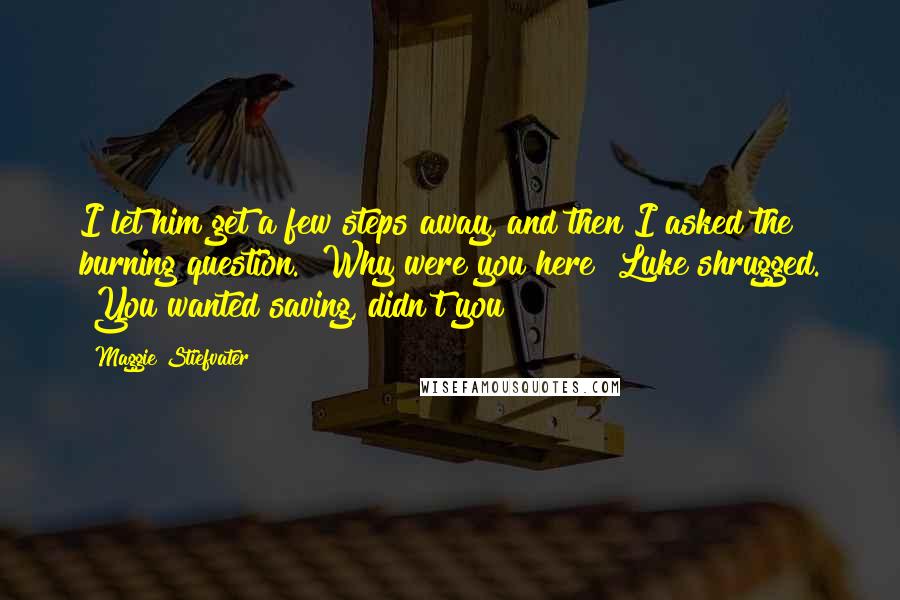 Maggie Stiefvater Quotes: I let him get a few steps away, and then I asked the burning question. "Why were you here?"Luke shrugged. "You wanted saving, didn't you?