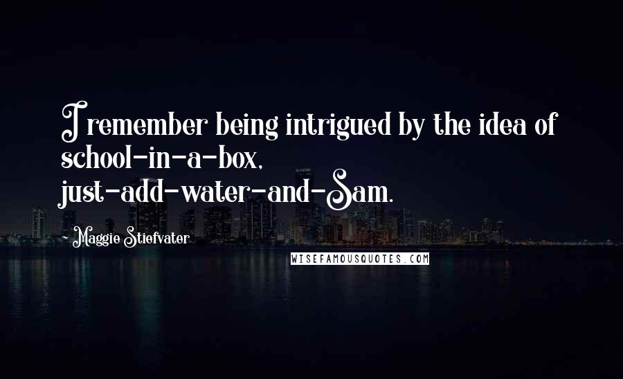 Maggie Stiefvater Quotes: I remember being intrigued by the idea of school-in-a-box, just-add-water-and-Sam.