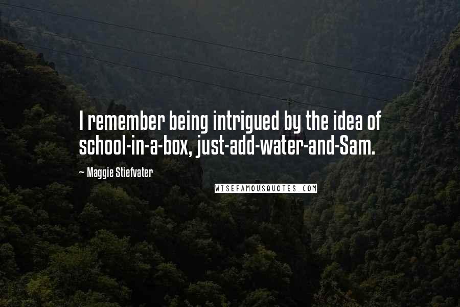 Maggie Stiefvater Quotes: I remember being intrigued by the idea of school-in-a-box, just-add-water-and-Sam.