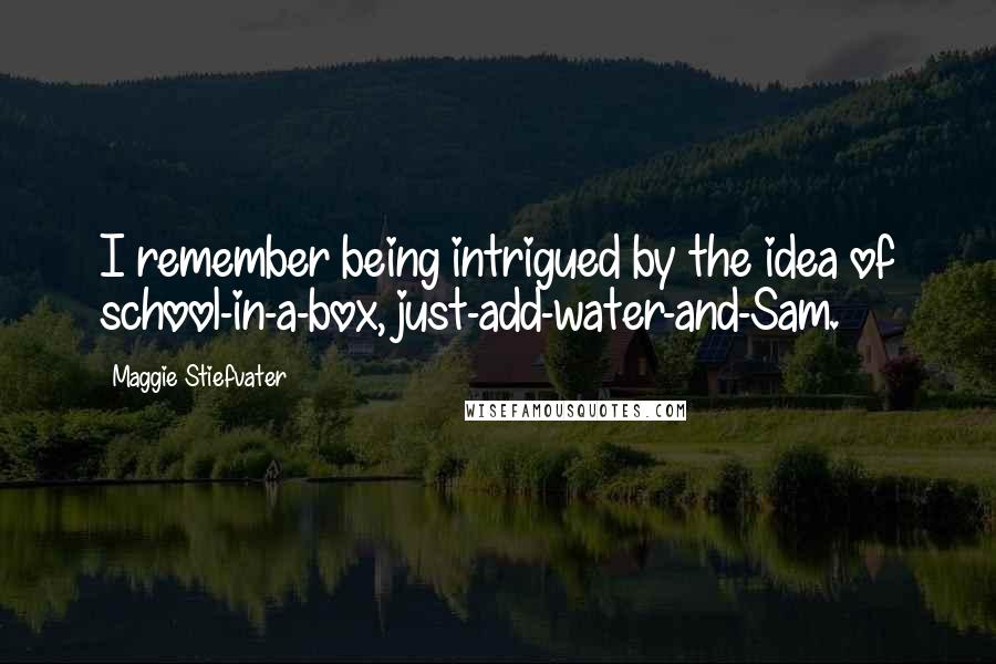 Maggie Stiefvater Quotes: I remember being intrigued by the idea of school-in-a-box, just-add-water-and-Sam.