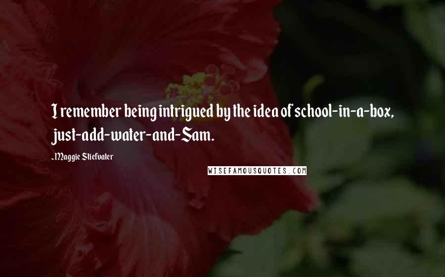 Maggie Stiefvater Quotes: I remember being intrigued by the idea of school-in-a-box, just-add-water-and-Sam.