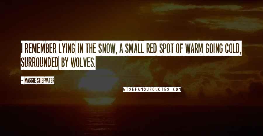 Maggie Stiefvater Quotes: I remember lying in the snow, a small red spot of warm going cold, surrounded by wolves.