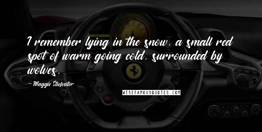 Maggie Stiefvater Quotes: I remember lying in the snow, a small red spot of warm going cold, surrounded by wolves.