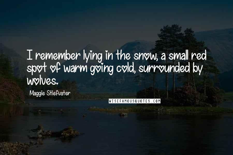 Maggie Stiefvater Quotes: I remember lying in the snow, a small red spot of warm going cold, surrounded by wolves.