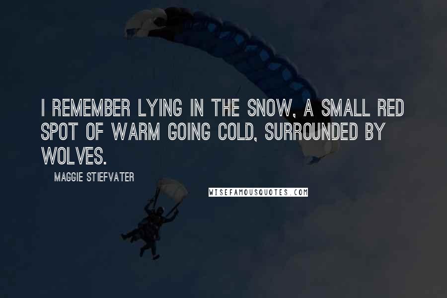 Maggie Stiefvater Quotes: I remember lying in the snow, a small red spot of warm going cold, surrounded by wolves.