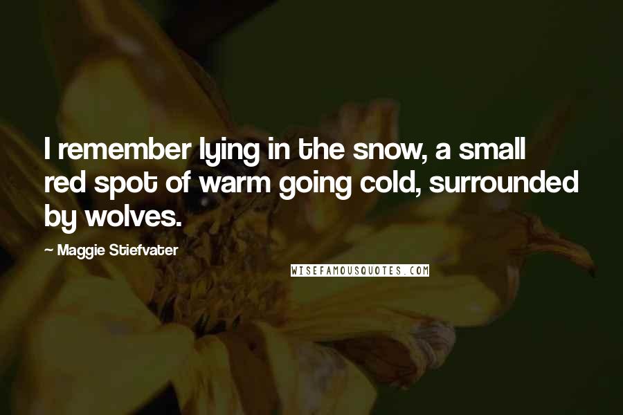 Maggie Stiefvater Quotes: I remember lying in the snow, a small red spot of warm going cold, surrounded by wolves.