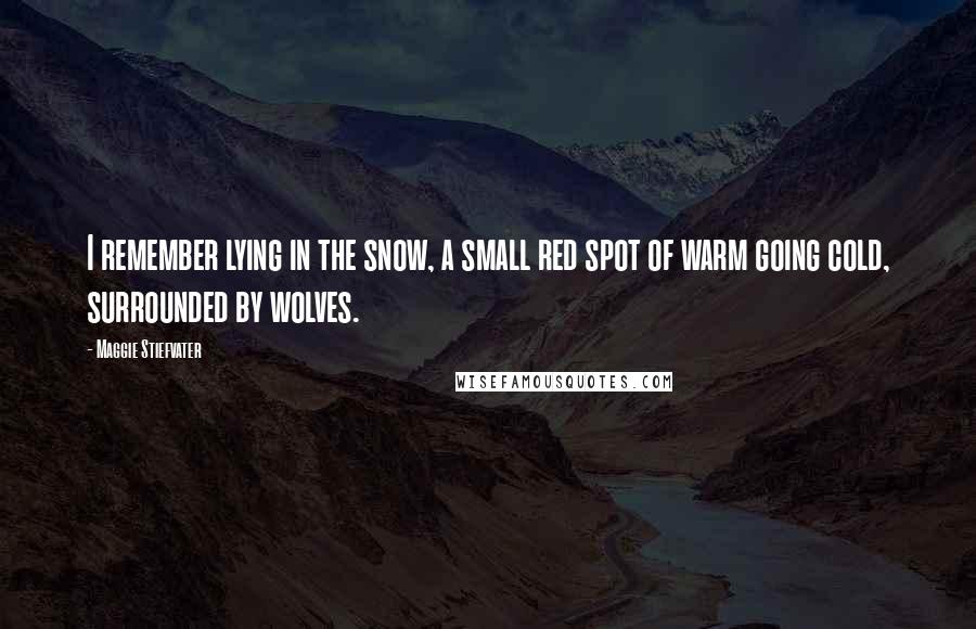 Maggie Stiefvater Quotes: I remember lying in the snow, a small red spot of warm going cold, surrounded by wolves.