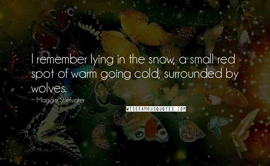 Maggie Stiefvater Quotes: I remember lying in the snow, a small red spot of warm going cold, surrounded by wolves.