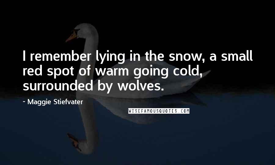 Maggie Stiefvater Quotes: I remember lying in the snow, a small red spot of warm going cold, surrounded by wolves.