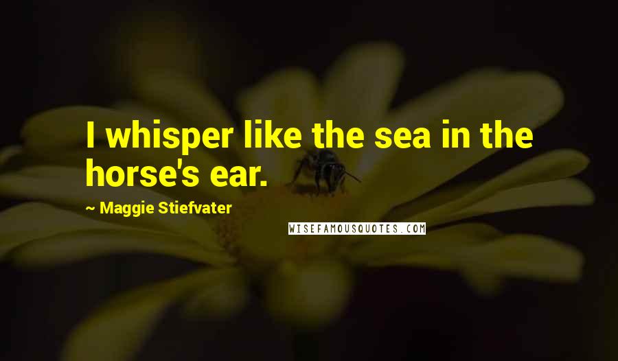 Maggie Stiefvater Quotes: I whisper like the sea in the horse's ear.