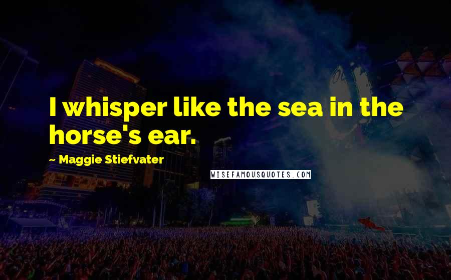 Maggie Stiefvater Quotes: I whisper like the sea in the horse's ear.