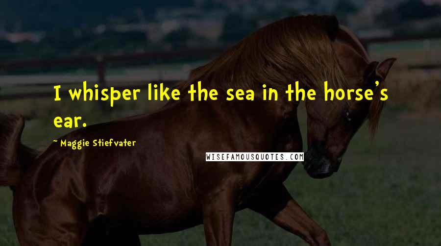 Maggie Stiefvater Quotes: I whisper like the sea in the horse's ear.