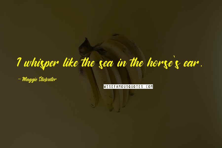 Maggie Stiefvater Quotes: I whisper like the sea in the horse's ear.