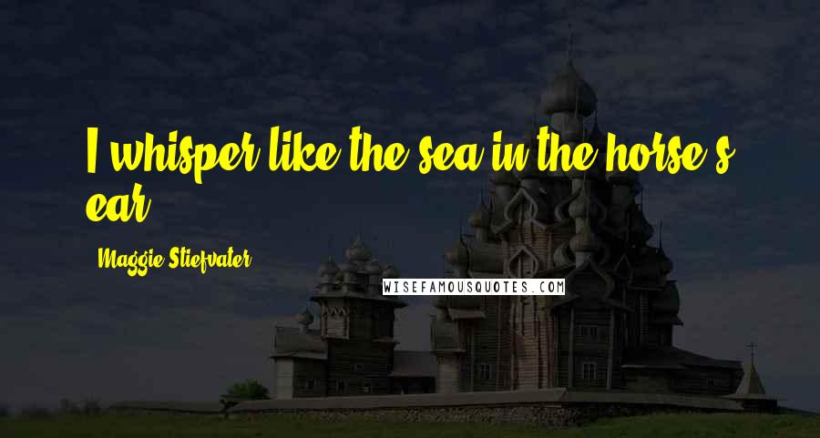 Maggie Stiefvater Quotes: I whisper like the sea in the horse's ear.