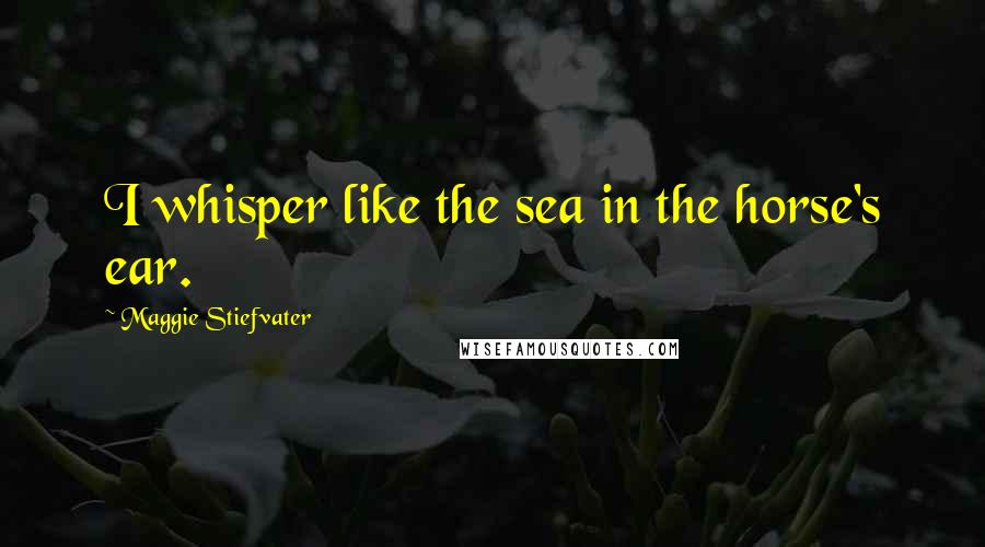 Maggie Stiefvater Quotes: I whisper like the sea in the horse's ear.