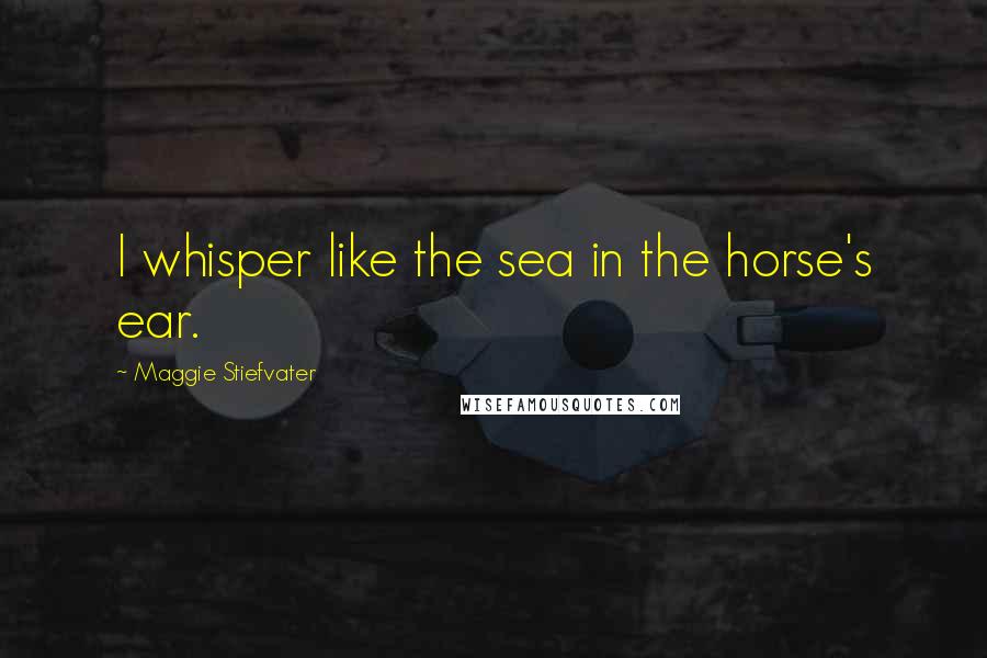 Maggie Stiefvater Quotes: I whisper like the sea in the horse's ear.